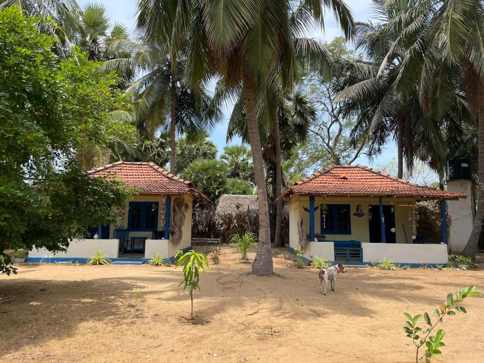 Araliya Villa Kalpitiya Quarto foto